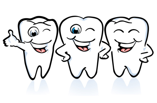 Gesunde Zähne - Vektor, obrázek