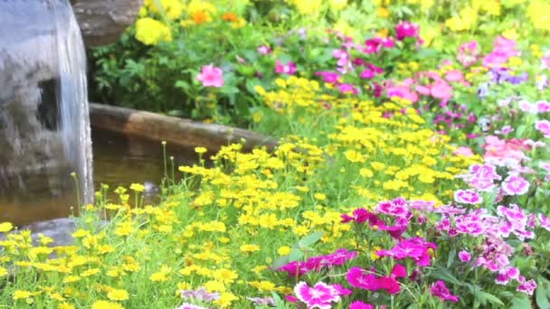 Πλάνα καταρράκτη ρέει και ζωηρά λουλούδια γλάστρα διακόσμηση σε άνετο σπίτι κήπο λουλουδιών το καλοκαίρι. - Πλάνα, βίντεο