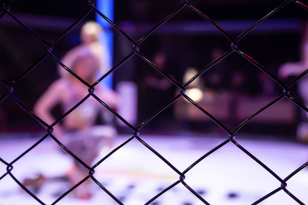 Boks ring kız sekizgen sahnenin arenada bir mücadele önce pozlar, metal net üzerinden görünümü. Mma turnuva yarışmalarında karma dövüş sanatları sporlarında çekici kadın. - Fotoğraf, Görsel
