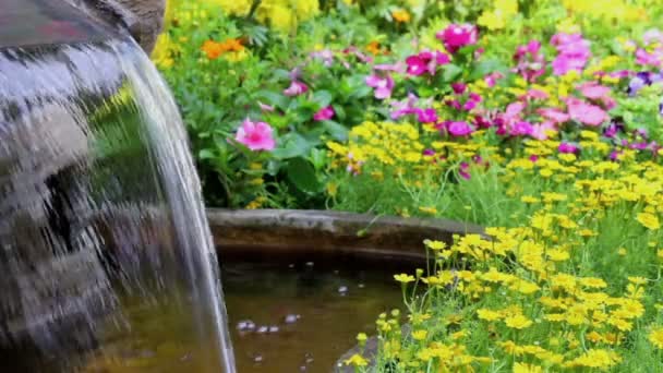 Footage vízesés hullámok és élénk virágok pot dekoráció otthonos otthon virágoskert nyáron. - Felvétel, videó