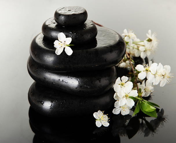Spa stones and white flowers on dark background - Foto, afbeelding