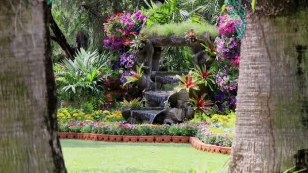 Filmati cascata flussi e fiori vividi decorazione vaso in accogliente giardino di fiori domestici in estate
. - Filmati, video