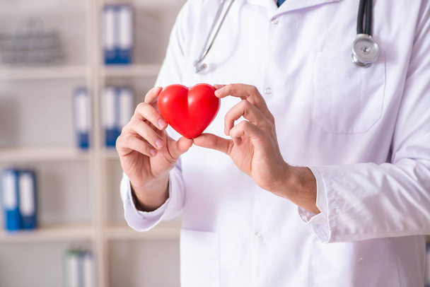 Male doctor cardiologist holding heart model  - Φωτογραφία, εικόνα