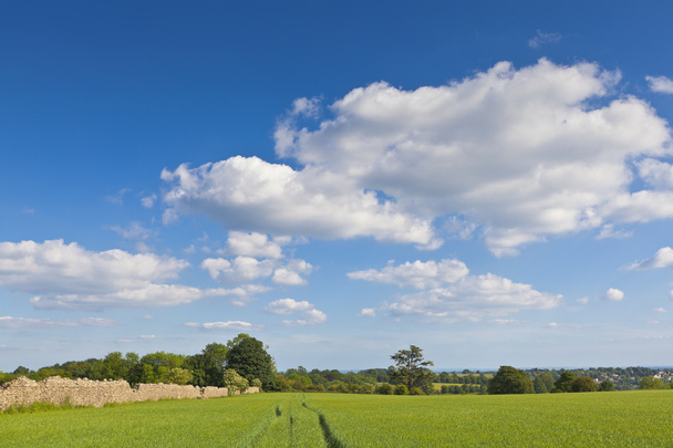 idyllische landschap, cotswolds uk - Foto, afbeelding