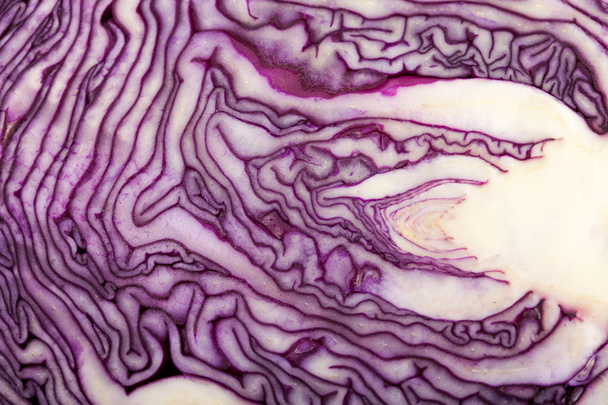 Red Cabbage cross section on White Background - Photo, image
