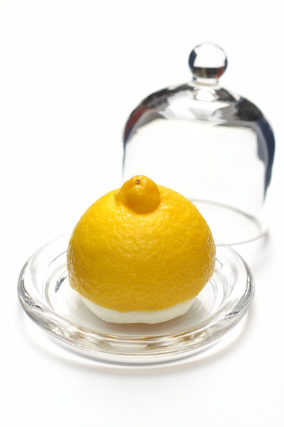 Lemon cut in half under a glass cover - Photo, Image
