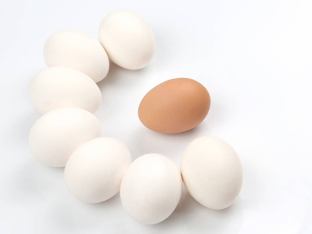 chicken eggs on white background - Photo, Image