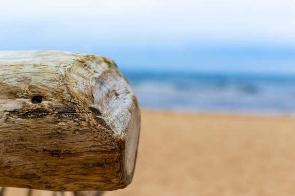 ein alter Baumstamm am Strand und die Ostsee im Hintergrund - Foto, Bild