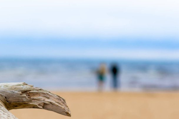 Conceito de amor, um velho tronco em uma praia e alguns amantes na praia não estão em foco com o mar Báltico em segundo plano
 - Foto, Imagem
