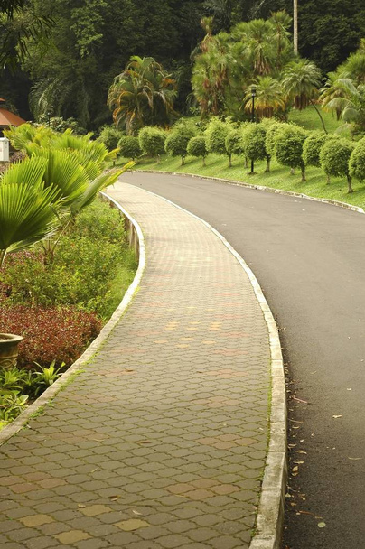 A jogging path way pavement at garden - Fotografie, Obrázek
