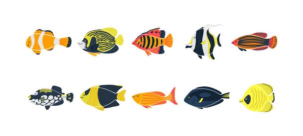 Illustration de poissons isolés. Ensemble de poissons de dessin animé d'aquarium d'eau douce
. - Vecteur, image