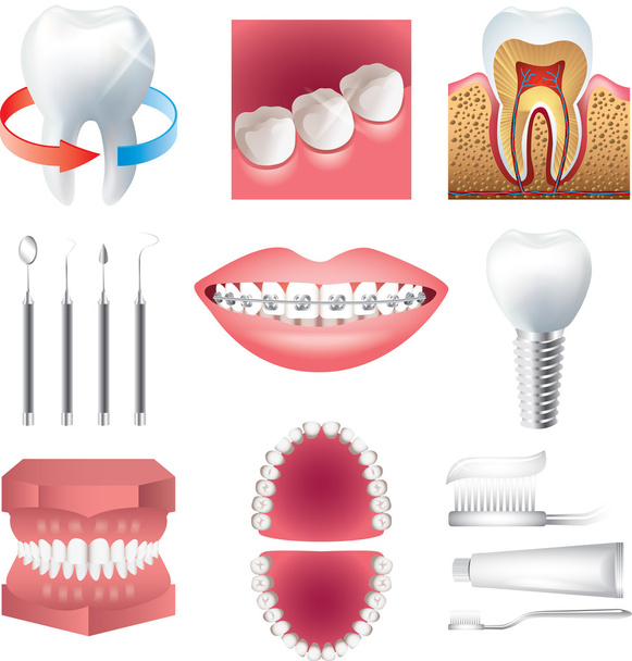 opieki zdrowotnej i Stomatologia fotorealistycznych zestaw ząb - Wektor, obraz