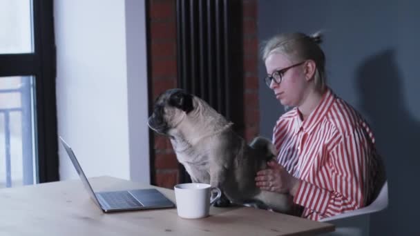 Молода жінка використовує ноутбук у коворкінгу з собакою
. - Кадри, відео