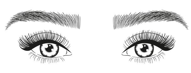 Красивые женские глаза с длинными ресницами и бровями. - Векторная иллюстрация
 - Вектор,изображение