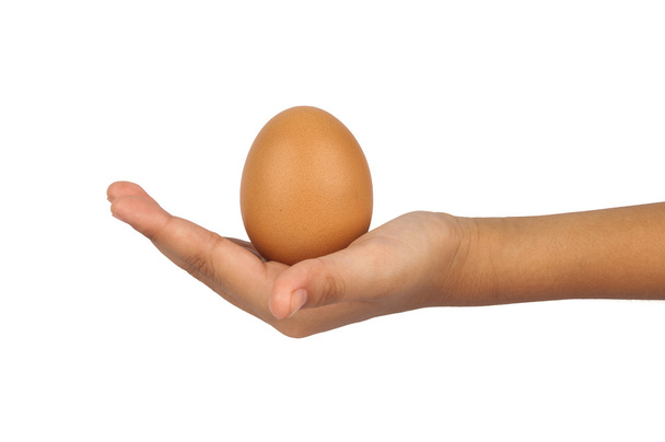 ruka drží vejce - Fotografie, Obrázek