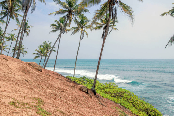 sea view at coconut tree hill  - Foto, afbeelding