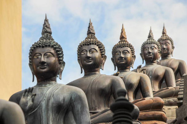 Estatuas de Buda en el Templo de Gangaramaya en Colombo
 - Foto, imagen