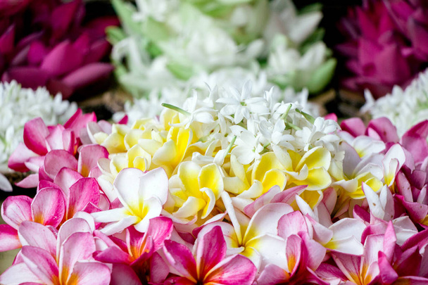 fresh flowers at market for worship - Photo, Image