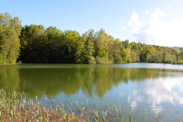 lago natural com vista para o campo verde
 - Foto, Imagem