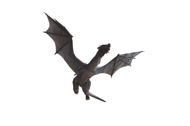 la mosca del dragón 3D render
 - Foto, imagen