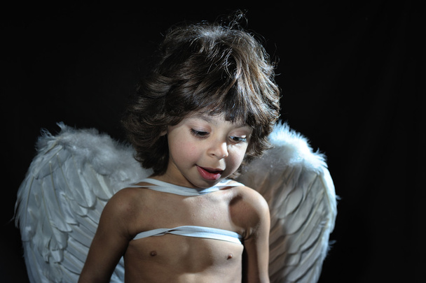 赤ちゃん天使 - 写真・画像