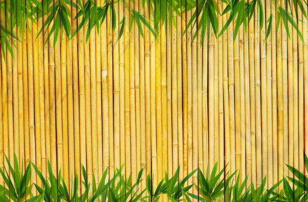 könnyű arany bambusz háttér - Fotó, kép
