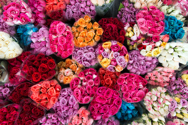 Разноцветные розы
 - Фото, изображение