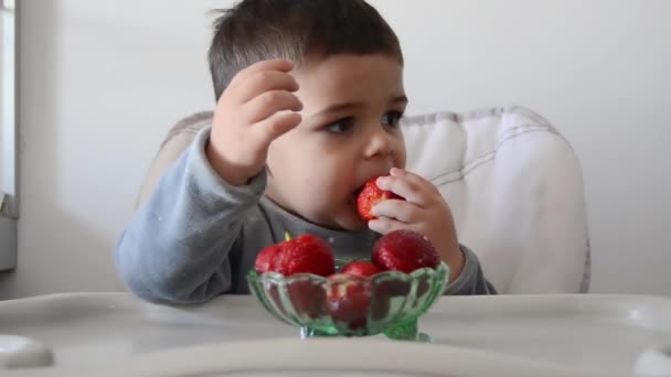 Χαριτωμένο ανυπόμονοι δύο χρονών μωρό αγόρι να περιμένει να φάει φράουλες - Πλάνα, βίντεο