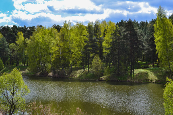 Río en el bosque. Rusia. Región de Moscú
 - Foto, Imagen