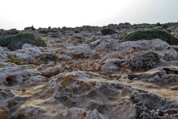 La riva è ricoperta di pietre affilate. Una spiaggia di pietra senza vita. Texture
 - Foto, immagini