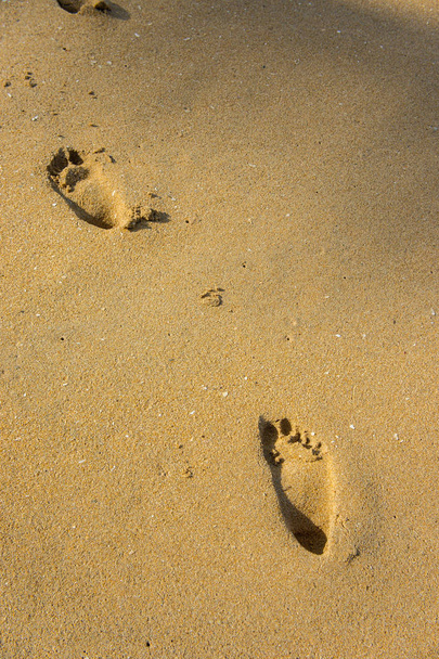 ślady stóp na piaszczystej plaży. - Zdjęcie, obraz