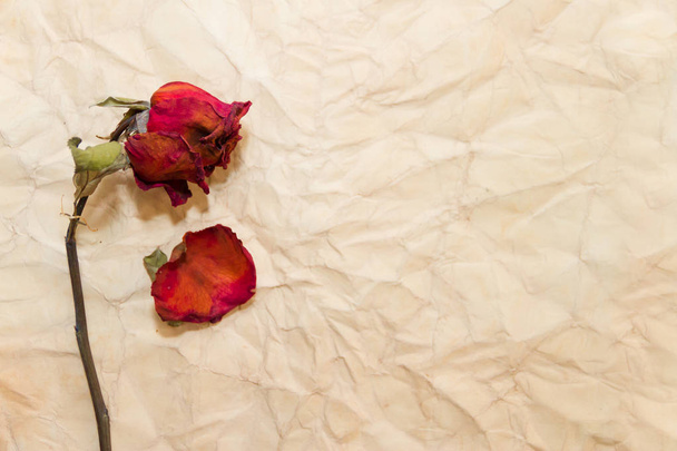 conceito de passar o tempo com flores murchas em papéis antigos
 - Foto, Imagem