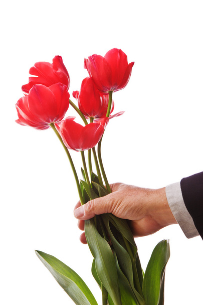Giving Tulips - Photo, Image