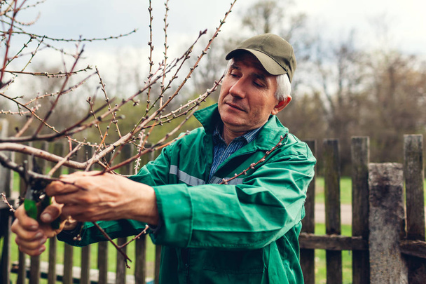 Férfi metszés fa olló. Férfi mezőgazdasági termelők darabok ágak tavaszi kert metszés olló vagy metszőolló - Fotó, kép