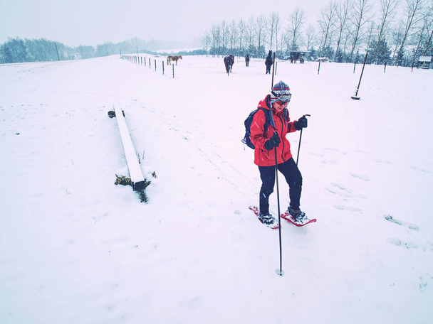 Frau auf Winter-Abenteuerreise mit Schneeschuhen im Neuschnee - Foto, Bild