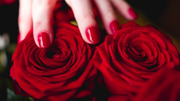 Woman hands with manicure red nails closeup and rose - Foto, afbeelding