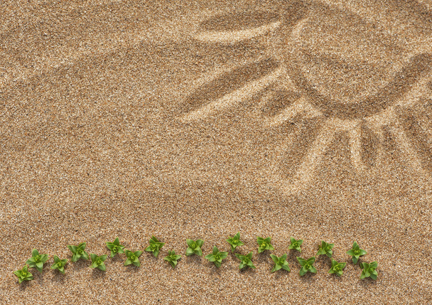 Desenho de sol na areia e plantas
 - Foto, Imagem