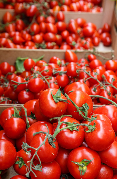 виноградної стиглих помідорів
 - Фото, зображення