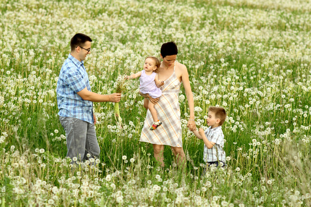 Szczęśliwa rodzina w polu - Zdjęcie, obraz