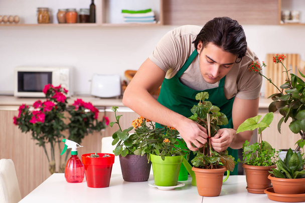 Genç yakışıklı adam evde çiçek yetiştiriyor. - Fotoğraf, Görsel