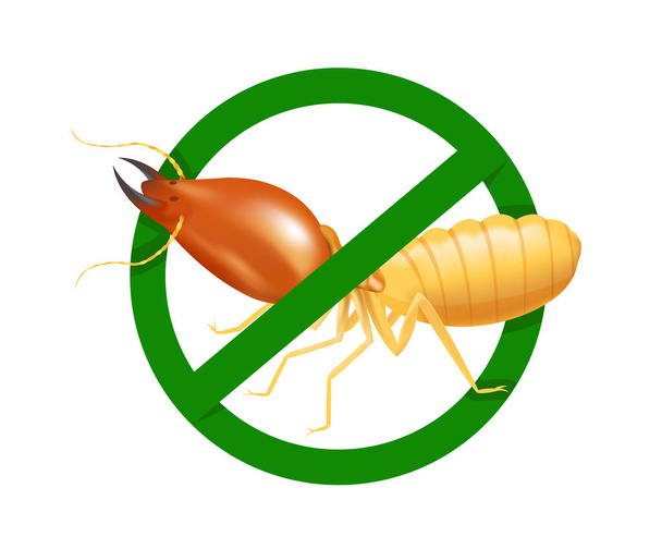 termite in cerchio verde proibito segno isolato su sfondo bianco, logo insetti termite, termite divieto simbolo per icone piatte info grafiche, illustrazione termiti icona prodotti chimici spray
 - Vettoriali, immagini