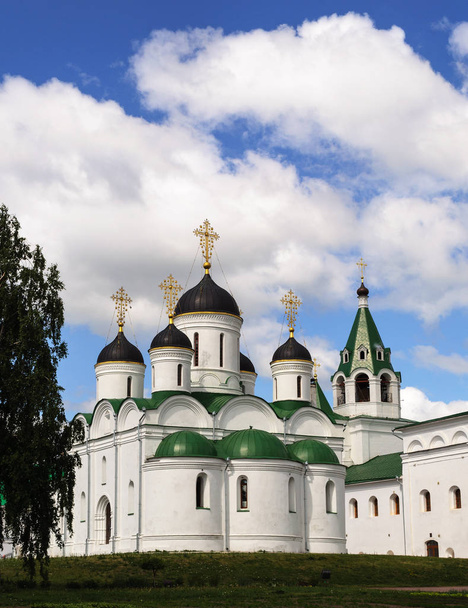 Klasztor Spassky w Murom, Rosja - Zdjęcie, obraz