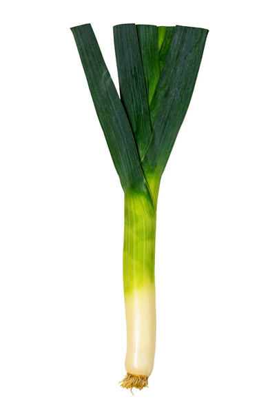 Leek Green Onion Isolated on white background. Selective focus. - Photo, Image