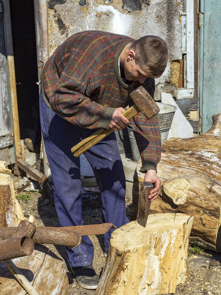  τύπος στο χωριό να κόβει δρύινα κλαδιά με σφήνα και βαριοπούλα, να συλλέγει ξύλα - Φωτογραφία, εικόνα