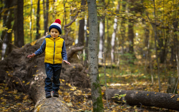 A little boy in a cap walks on a log - 写真・画像