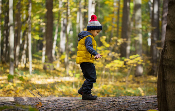 A little boy in a cap walks on a log - 写真・画像