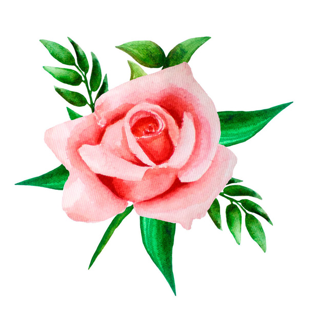 Bright akvarell összetétele rózsaszín, korall rózsa és a levelek. Mintadeszka esküvői meghívók kézzel rajzolt, fehér izolált  - Fotó, kép