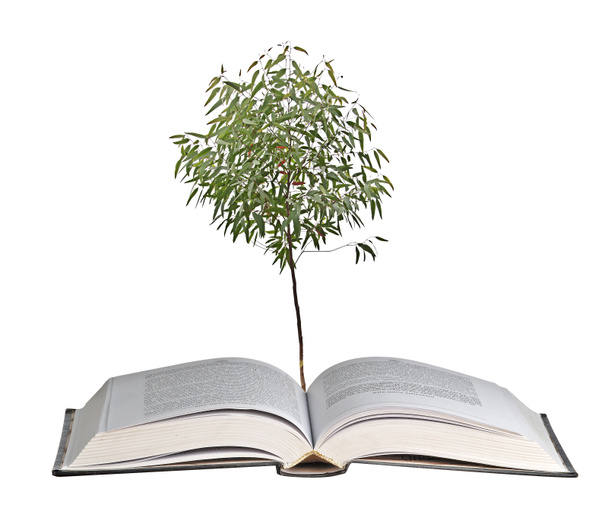 Дерево, що росте з відкритої книги
 - Фото, зображення