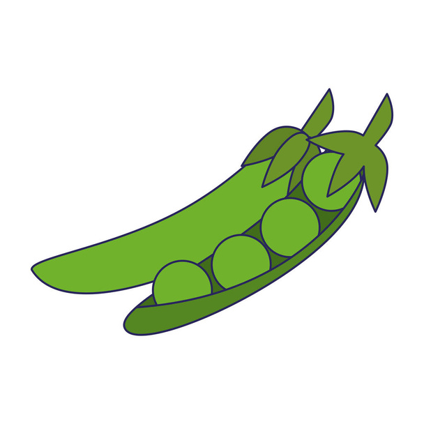 fresh vegetables peas cartoon - Vector, Image