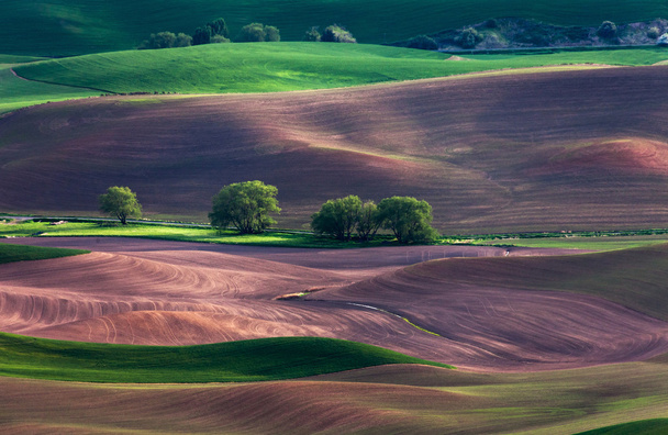 rolling hill and Farm Land - Photo, Image